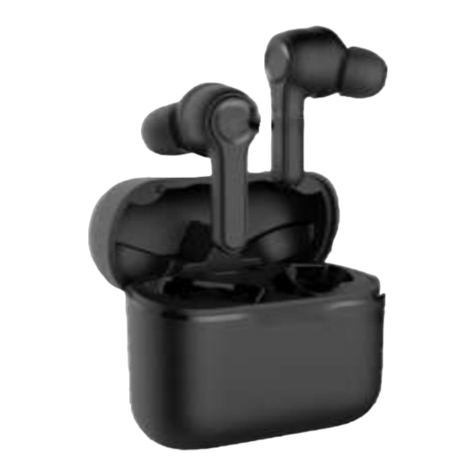 GoodAudio BWS T2 user manual