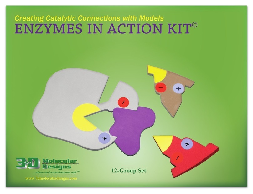 3D Molecular Designs Enzymes in Action Kit Assembly instructions
