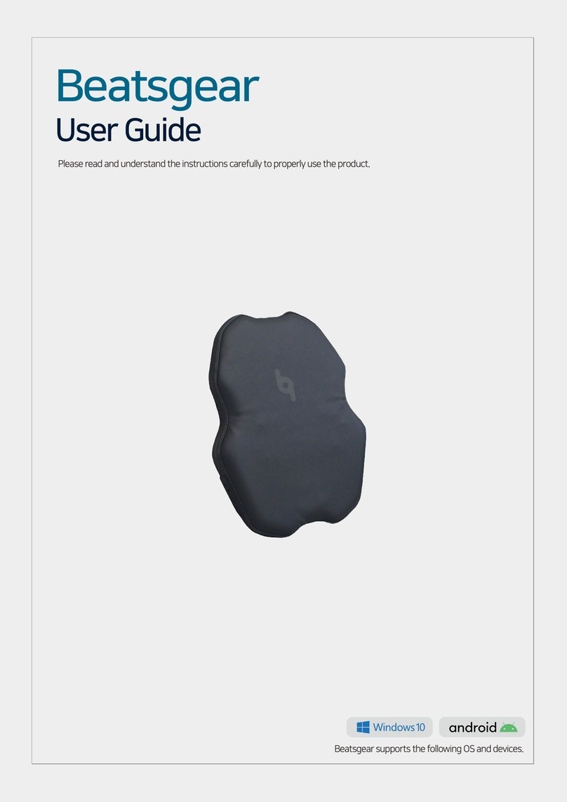 Beatsgear bgear-LSI100 user guide