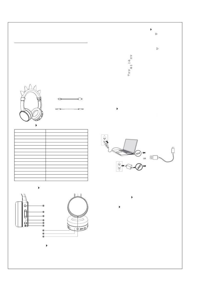 Shike Kam Wah Electronic SBT-186 instructions