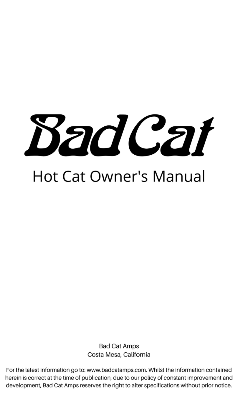 Bad Cat Hot Cat owner's manual