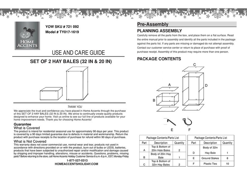 Home Accents TY017-1619 Use and care guide