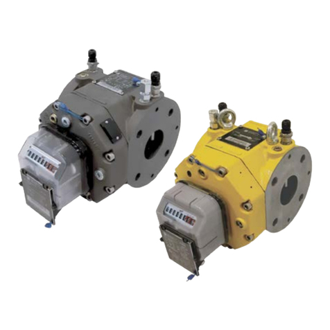 PIETRO FIORENTINI IM-RM G10 Use and maintenance manual