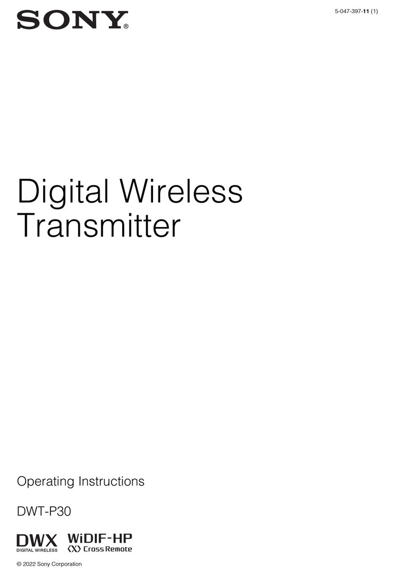 Sony DWT-P30 User manual