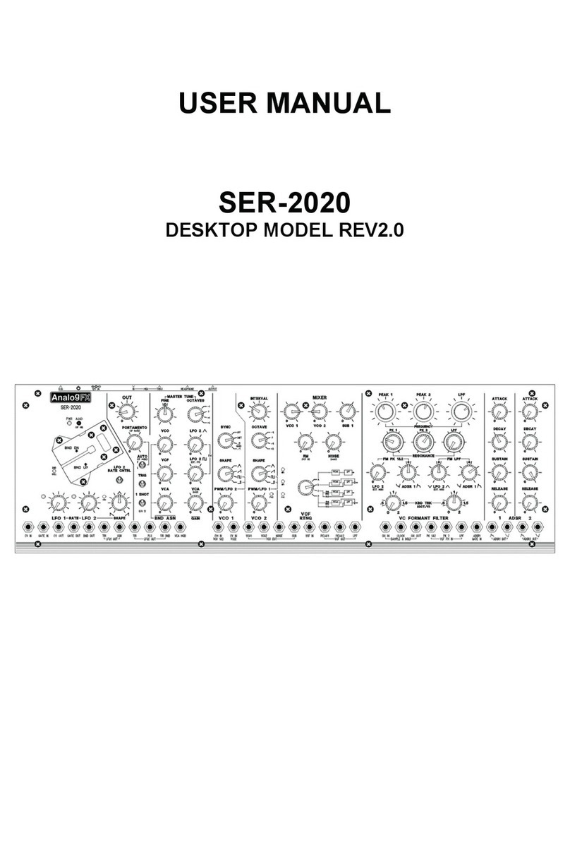 AnalogFX SER-2020 user manual