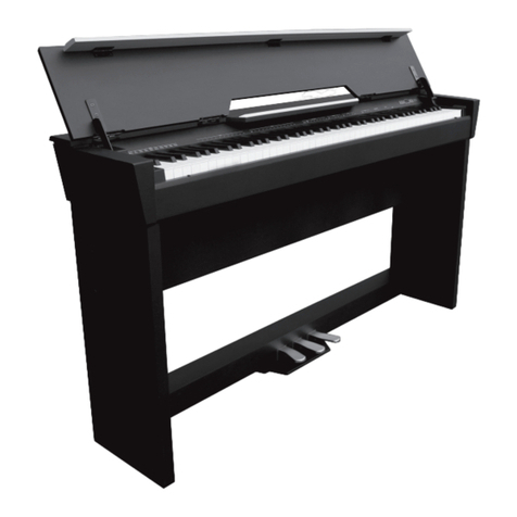 Ashton AURORA 1000 User manual