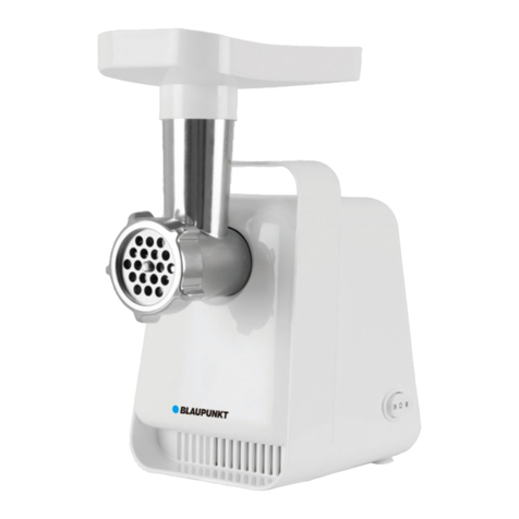 Blaupunkt FMM301 User manual