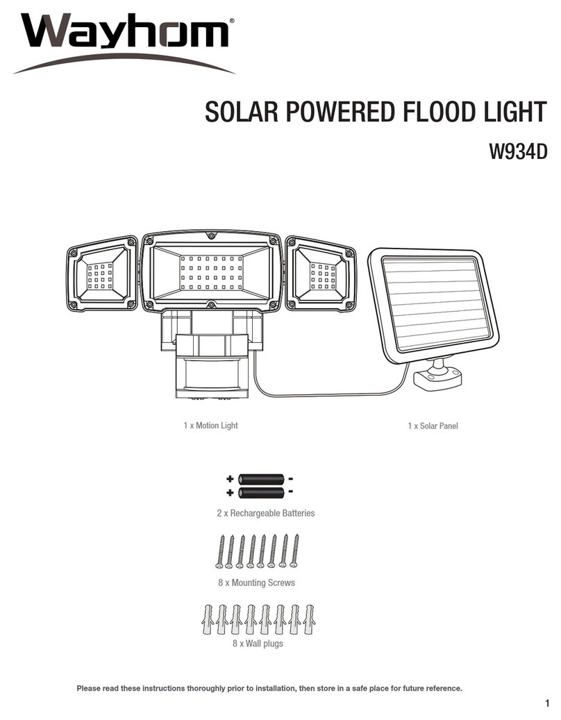 Wayhom W934D User manual