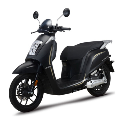 Daytona E-VIBALL user manual
