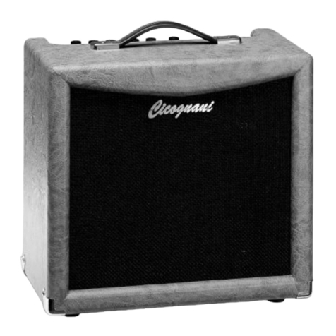 Cicognani DRAGON STUDIO All TUBE combo operating manual
