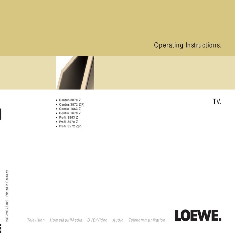 Loewe Cantus 3870 Z User manual