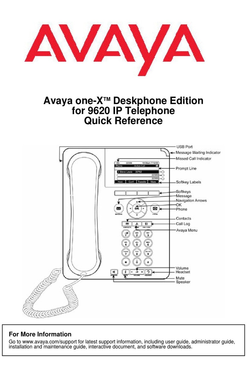 Avaya 700426711 User manual