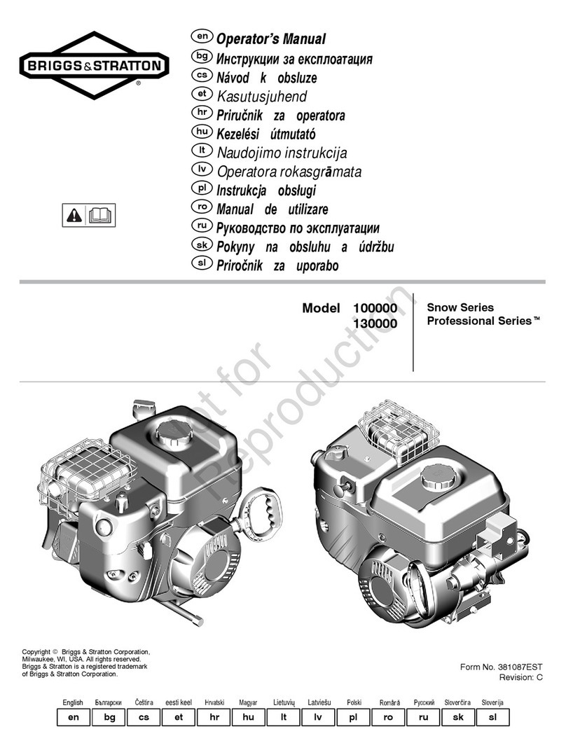 Briggs & Stratton Professional Series User manual