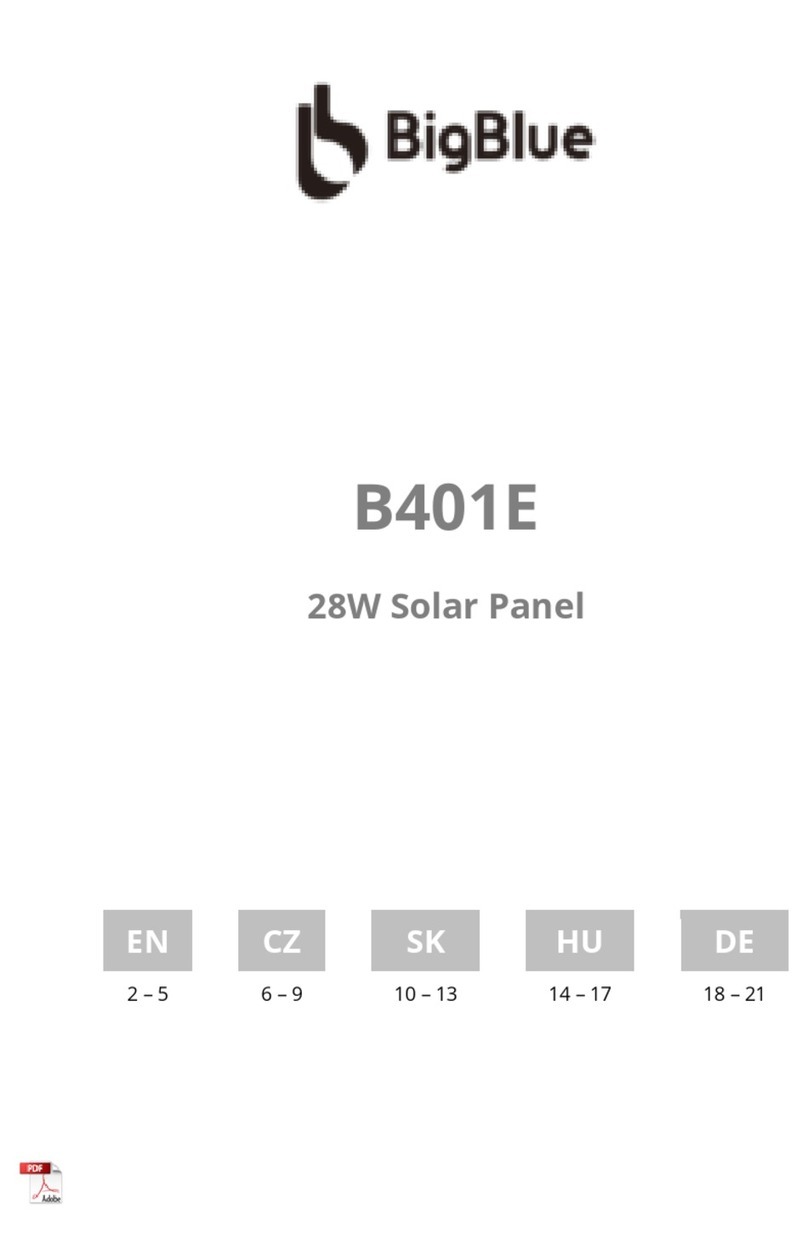 BigBlue B401E User manual