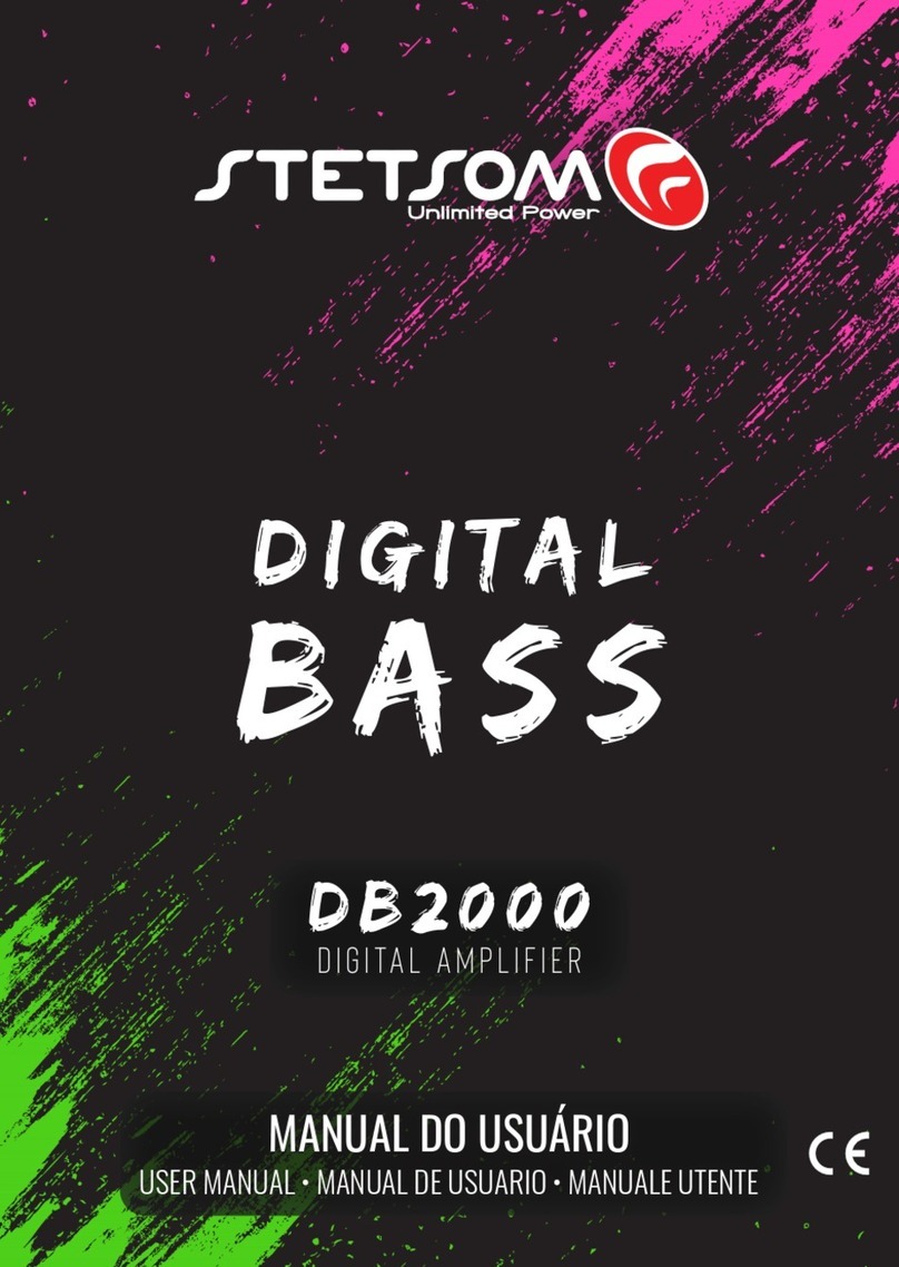 StetSom DIGITAL BASS DB2000 User manual