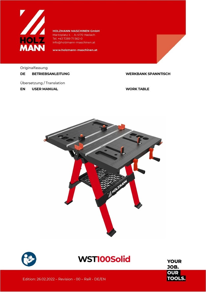Holzmann WST100Solid user manual