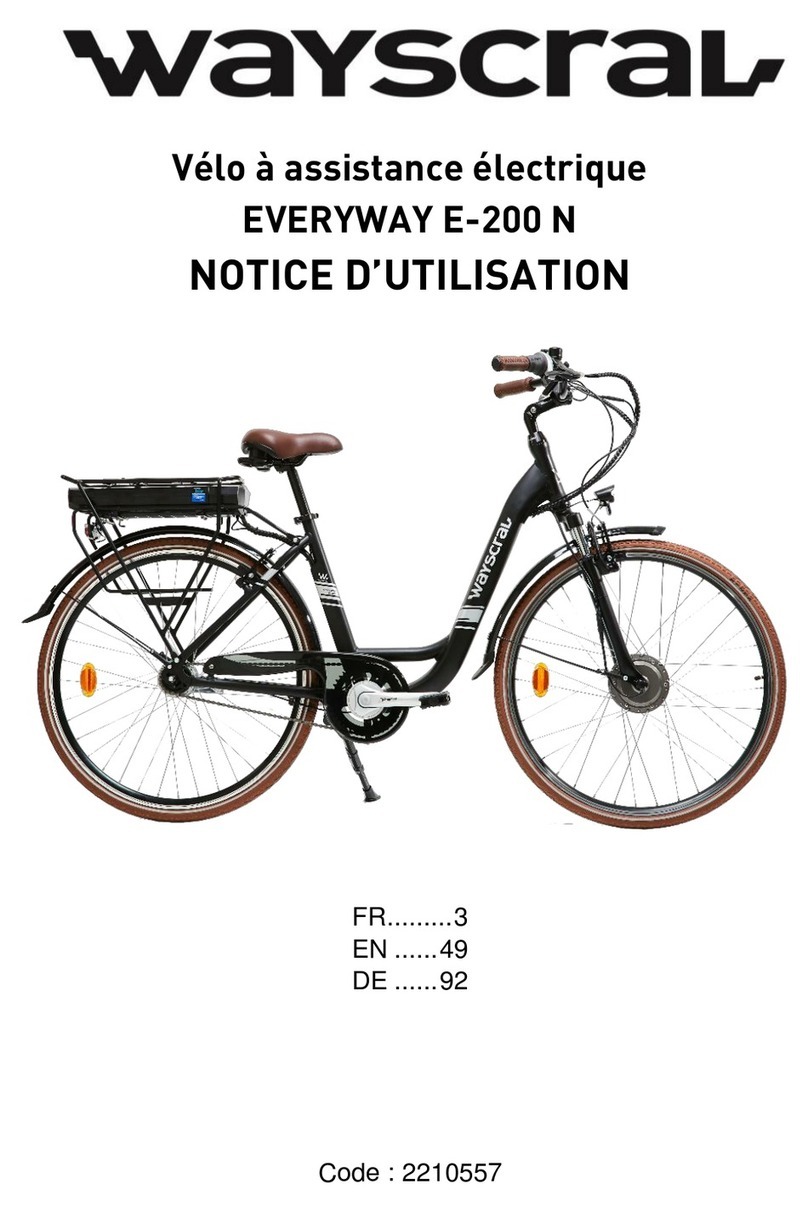 wayscral EVERYWAY E-200 N User manual