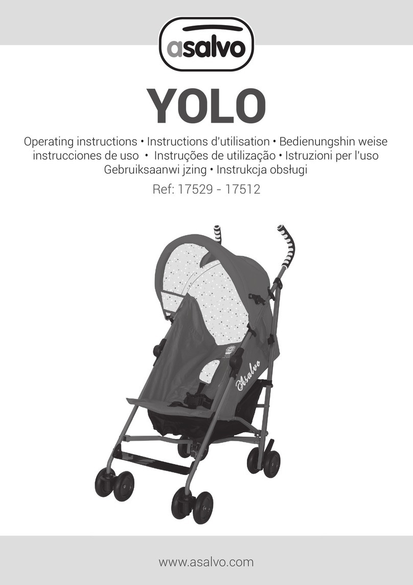 asalvo YOLO User manual