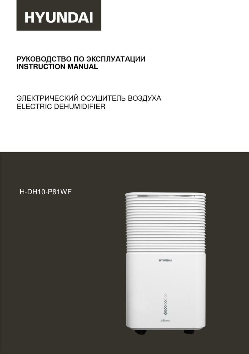 Hyundai H-DH10-P81WF instruction manual