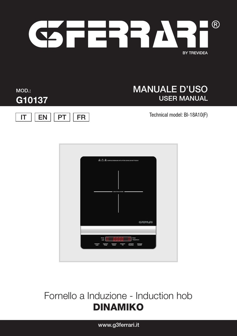 TREVIDEA G3 Ferrari DINAMIKO user manual