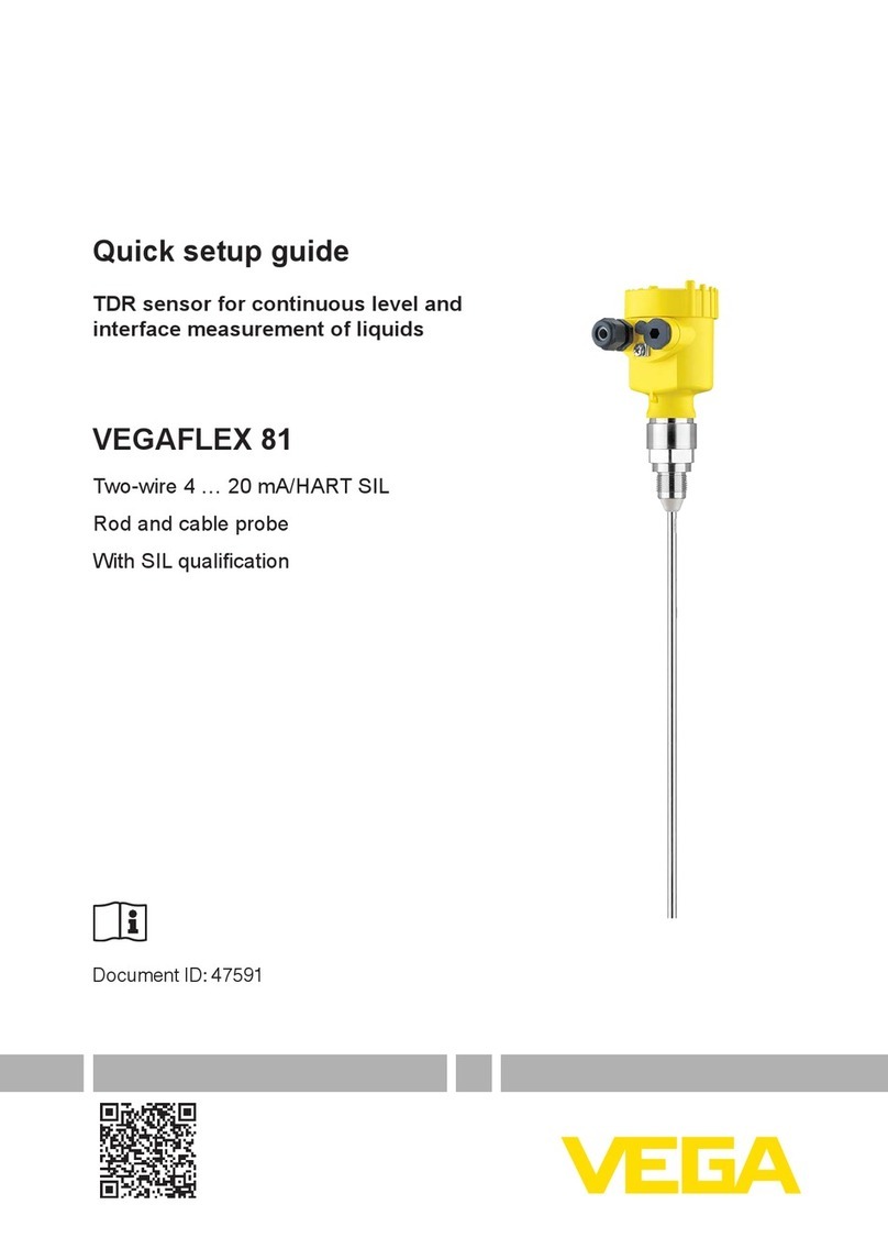 Vega VEGAFLEX 81 User manual