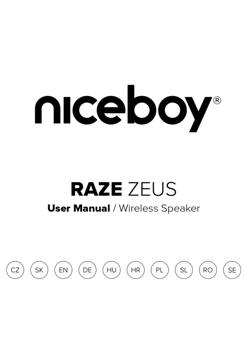 Niceboy RAZE ZEUS user manual