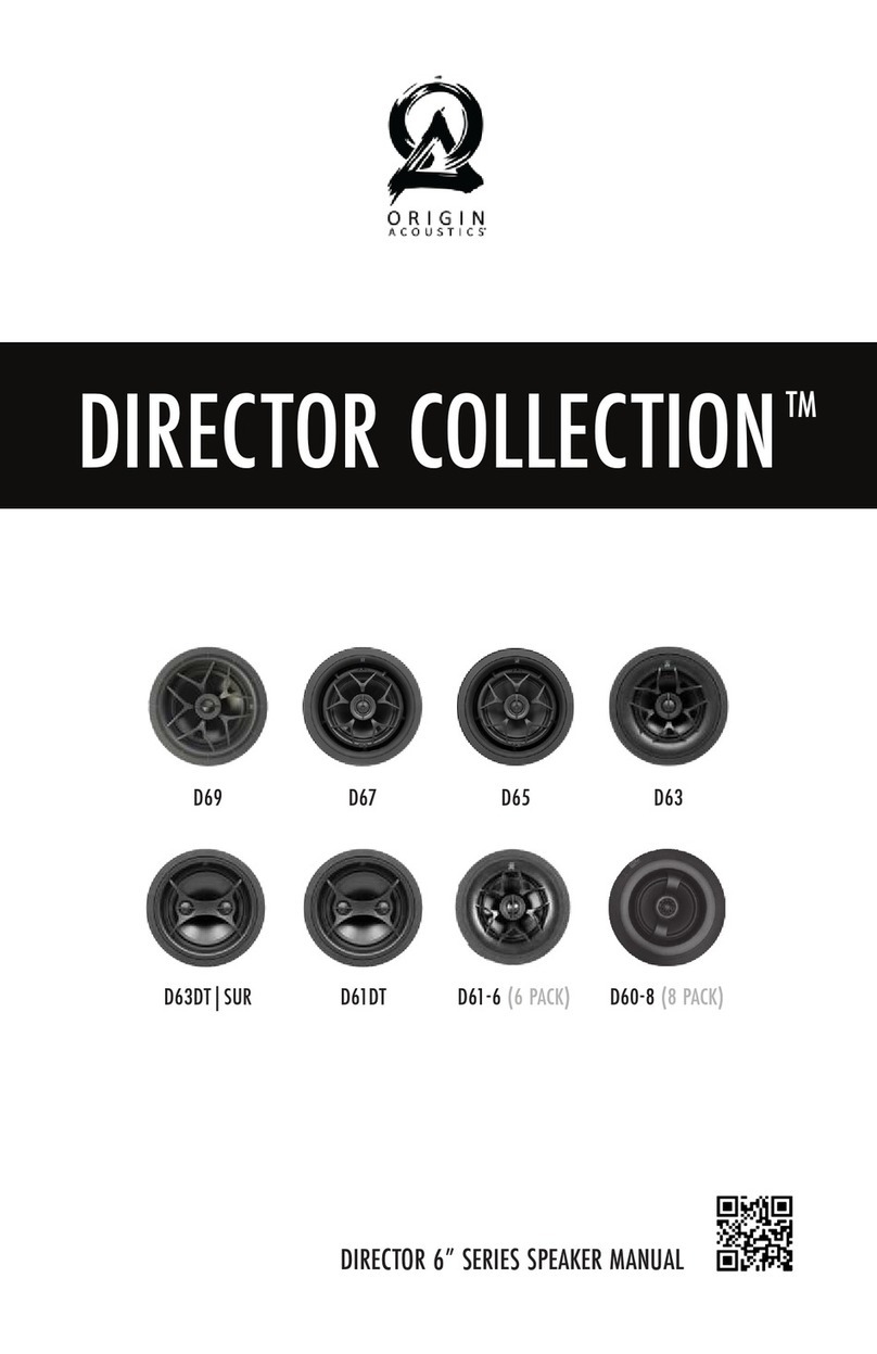 Origin Acoustics DIRECTOR D69 manual