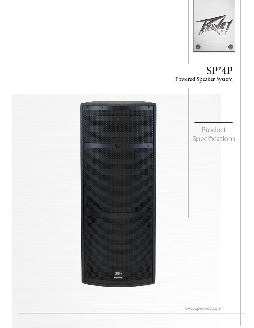 Peavey SP 4P manual