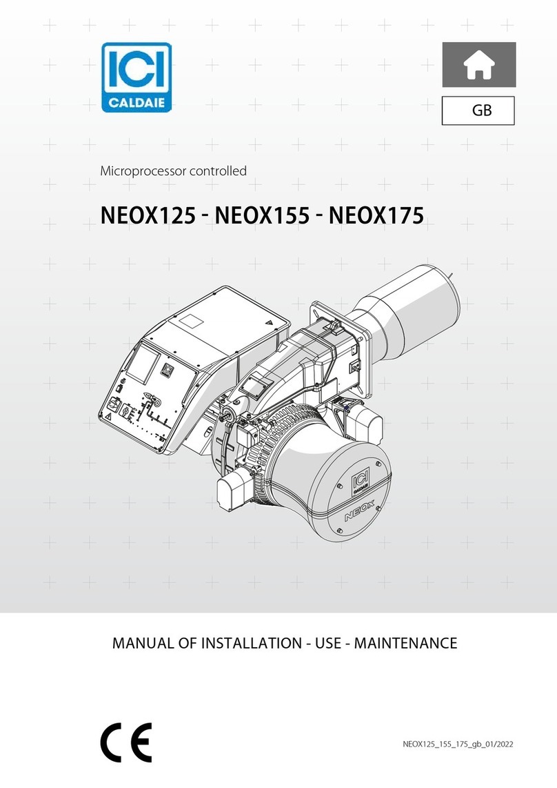 ICI Caldaie NEOX125 Manual of installation - use - maintenance