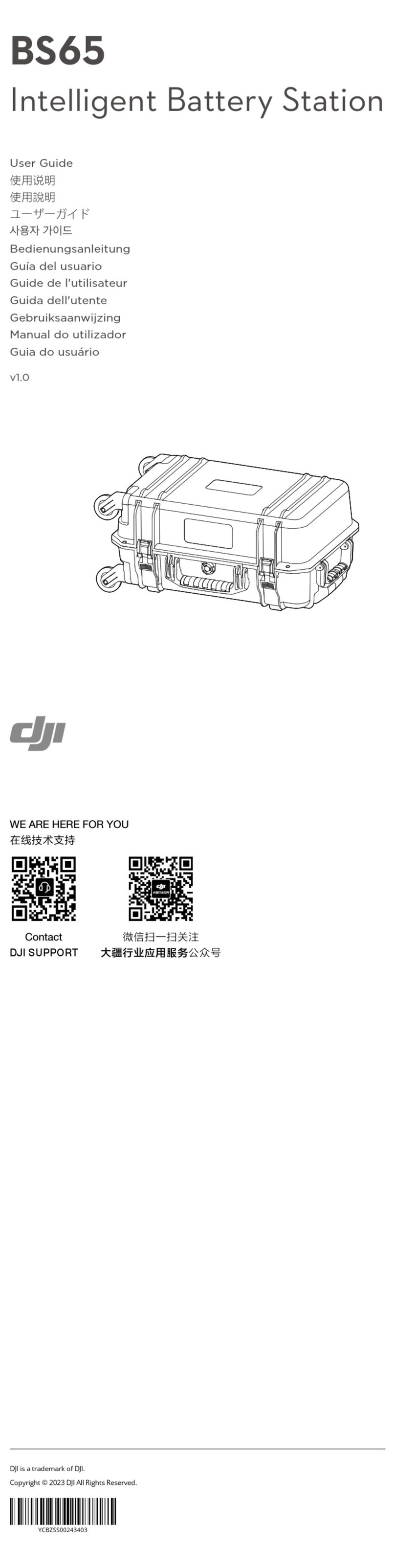 dji BS65 user guide