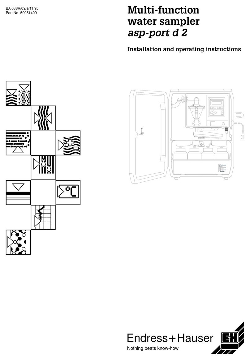 Endress+Hauser asp-port d 2 Installation and operating instructions
