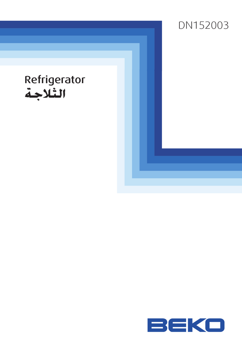 Beko DN152003 manual