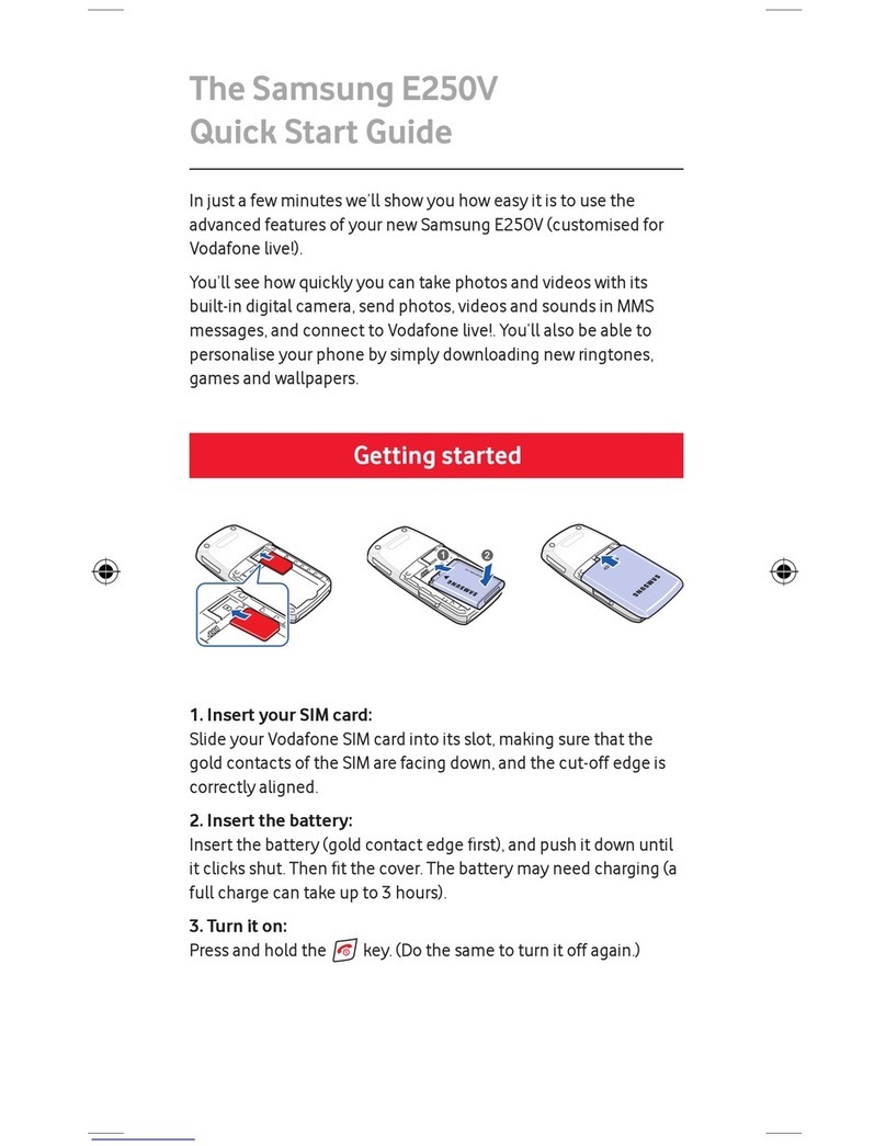 Samsung E250V User manual