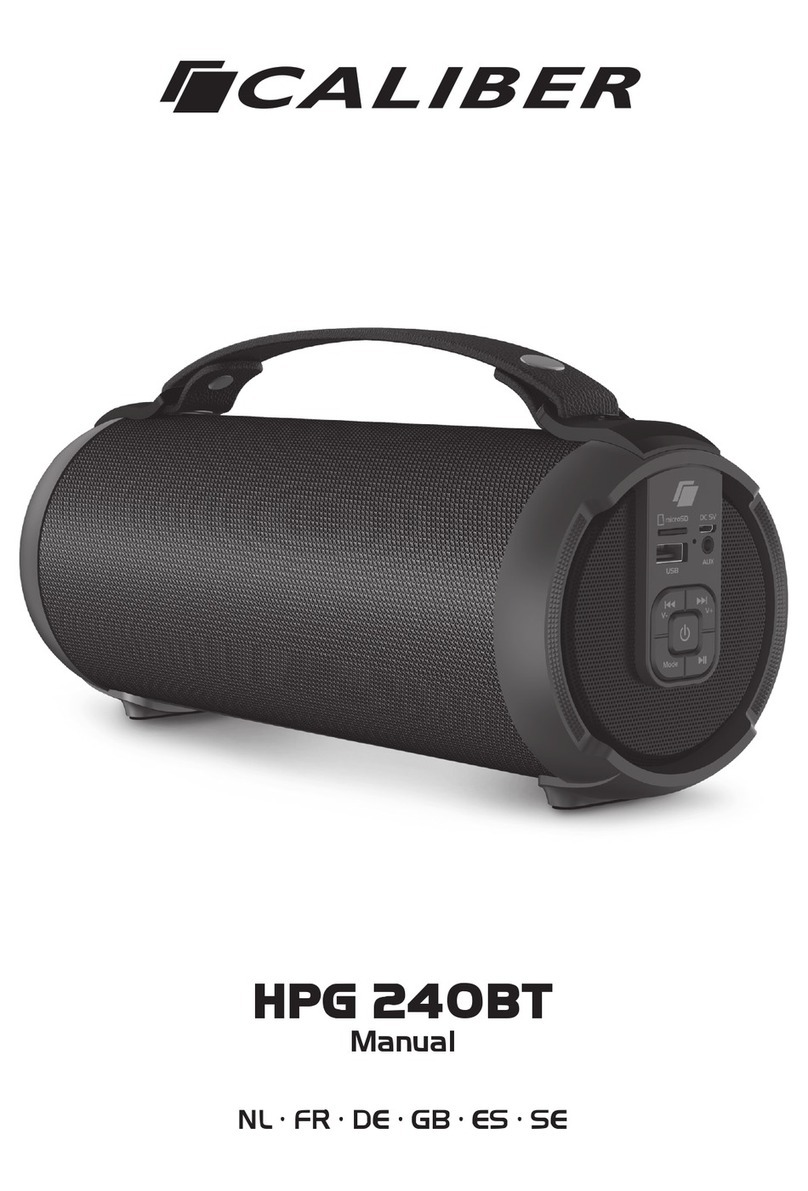 Caliber HPG 240BT manual