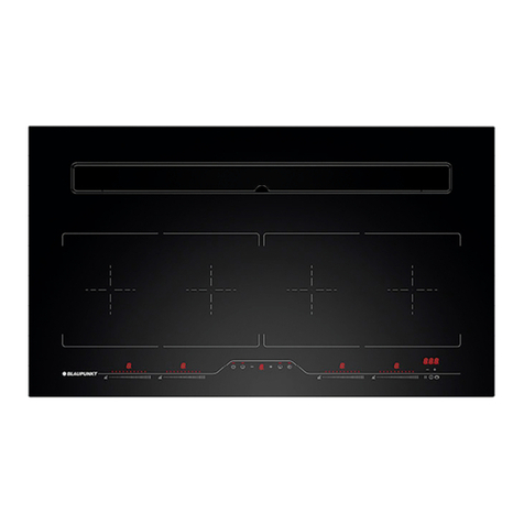 Blaupunkt 5IX99290 Mounting instructions