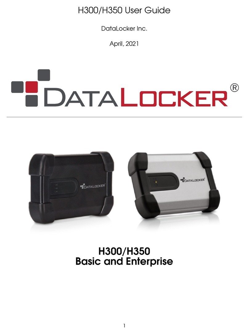 DataLocker H300 User manual
