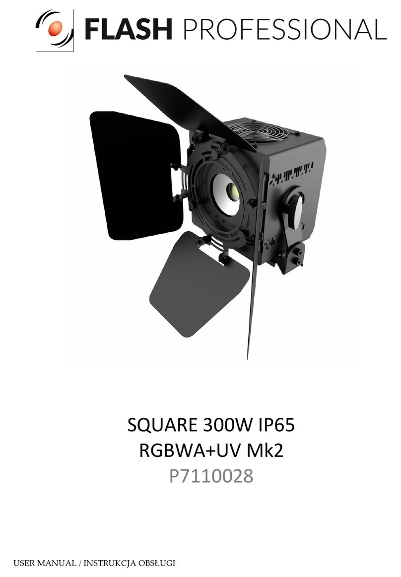 Flash professional P7110028 user manual