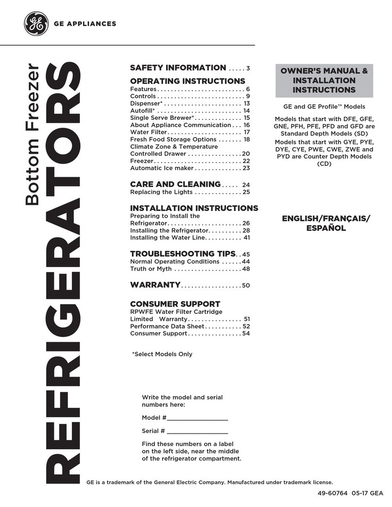 GE DFE Original instructions