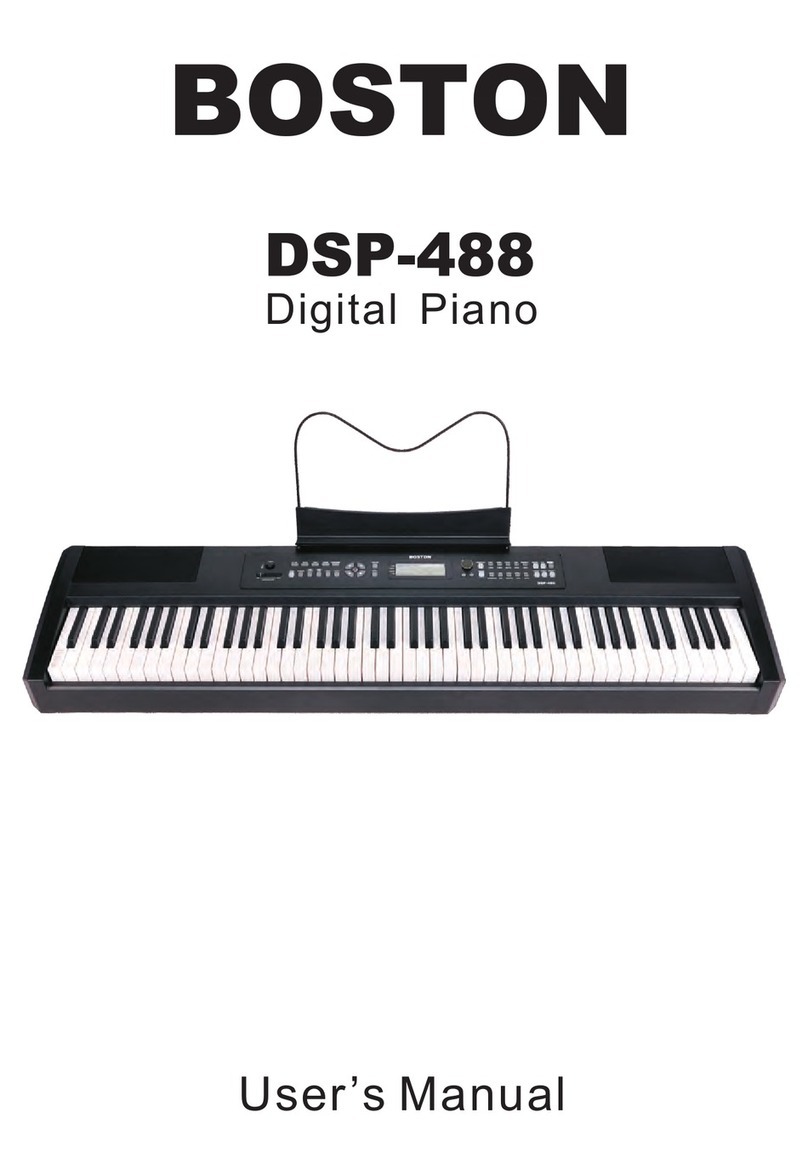 Boston DSP-488 user manual