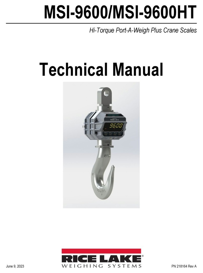 Rice Lake MSI-9600 User manual