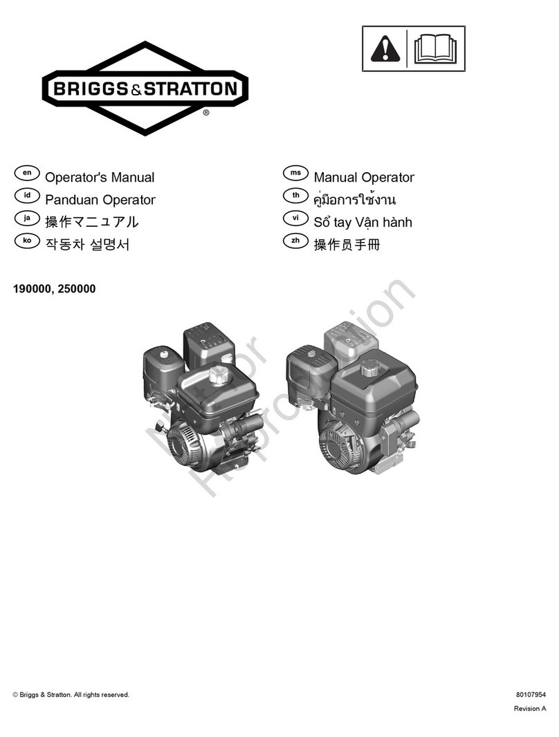 Briggs & Stratton 250000 Series User manual