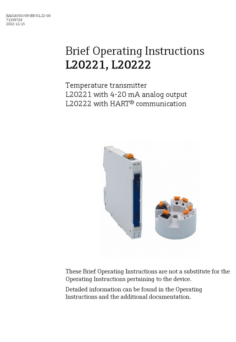 Endress+Hauser L20221 Technical specifications