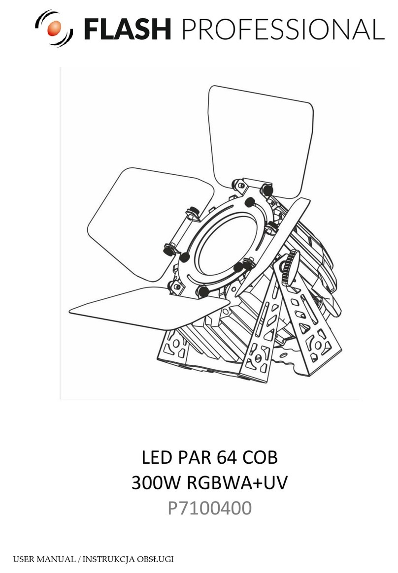 Flash professional P7100400 user manual