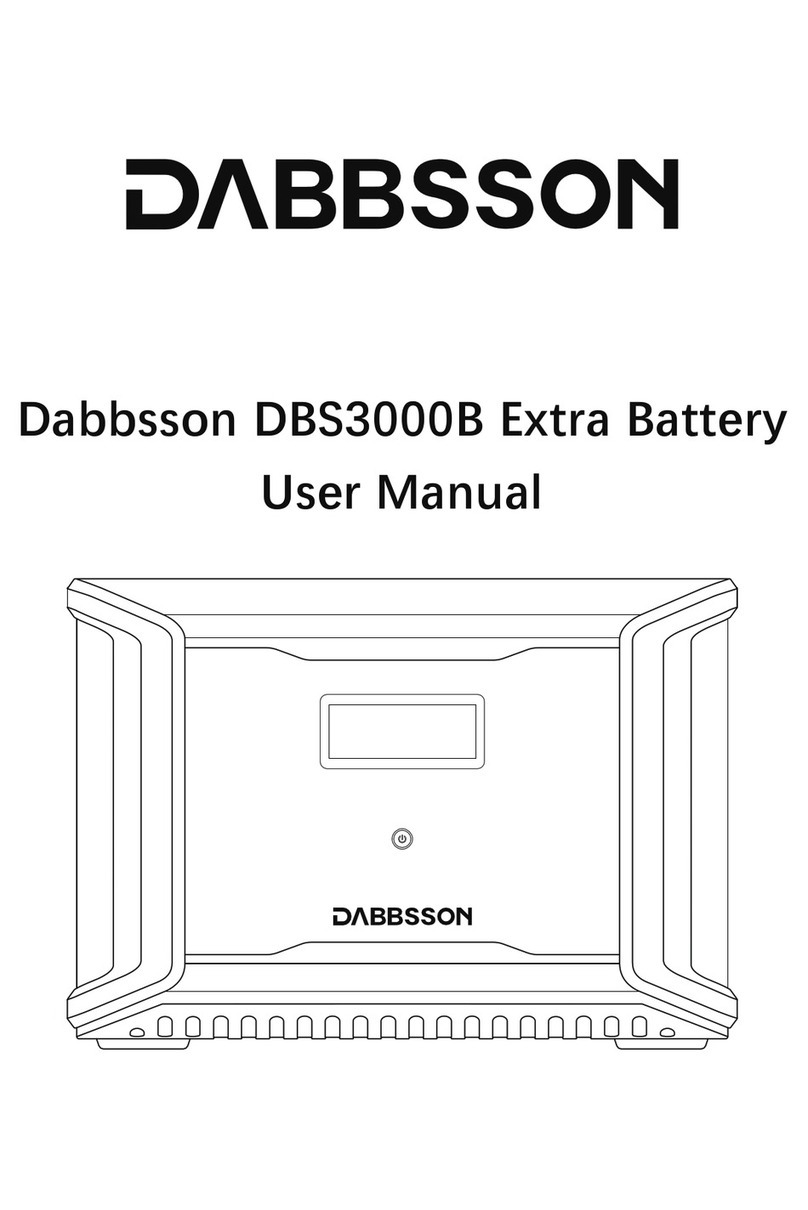 DABBSSON DBS3000B user manual