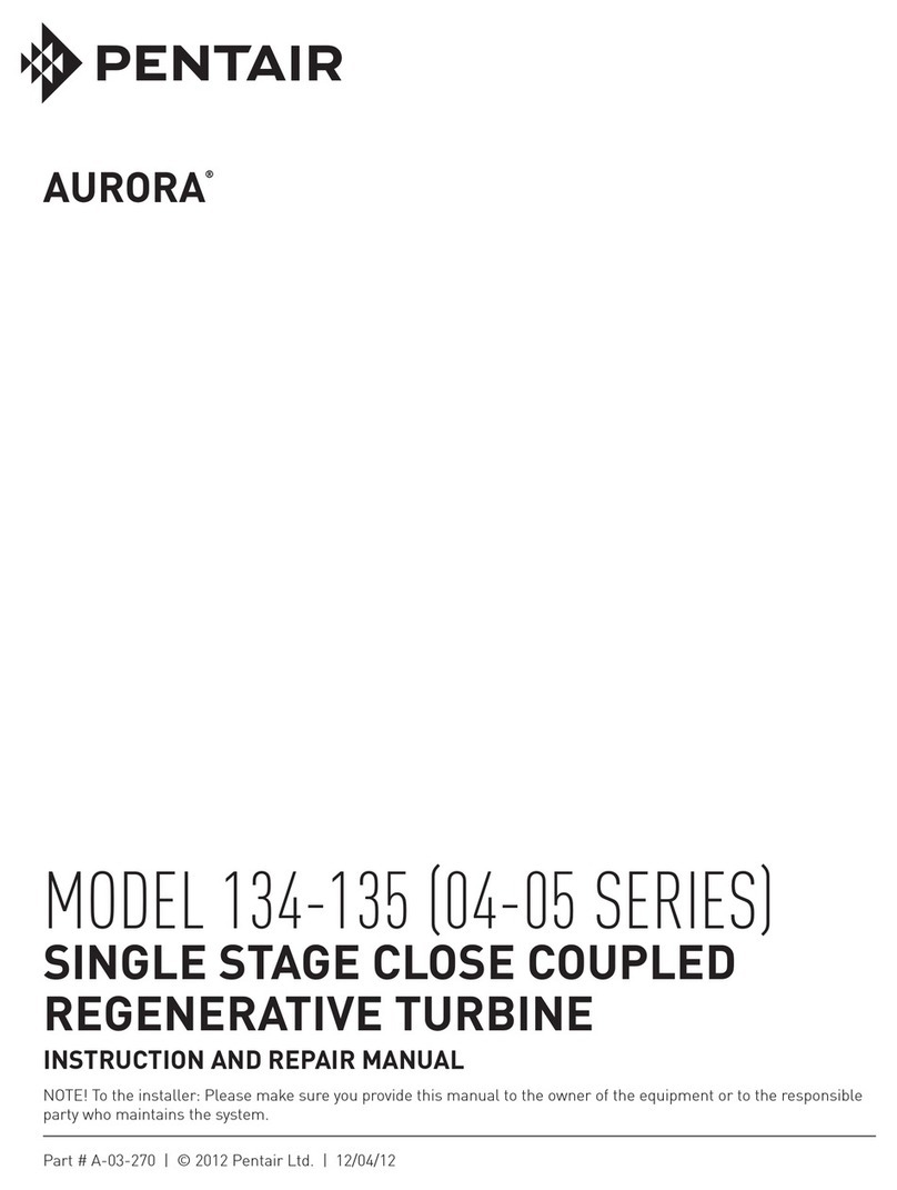 Pentair AURORA 04 Series Instruction and repair manual
