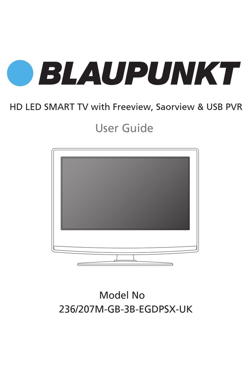 Blaupunkt 236/207M-GB-3B-EGDPSX-UK User manual