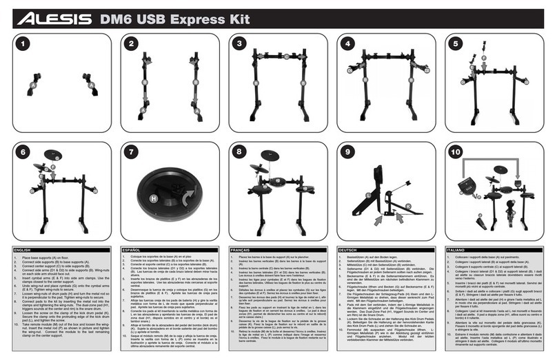 Alesis DM6 SESSION KIT User manual