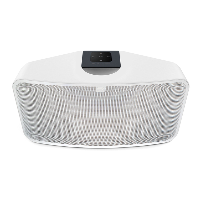 Bluesound Pulse 2 User manual