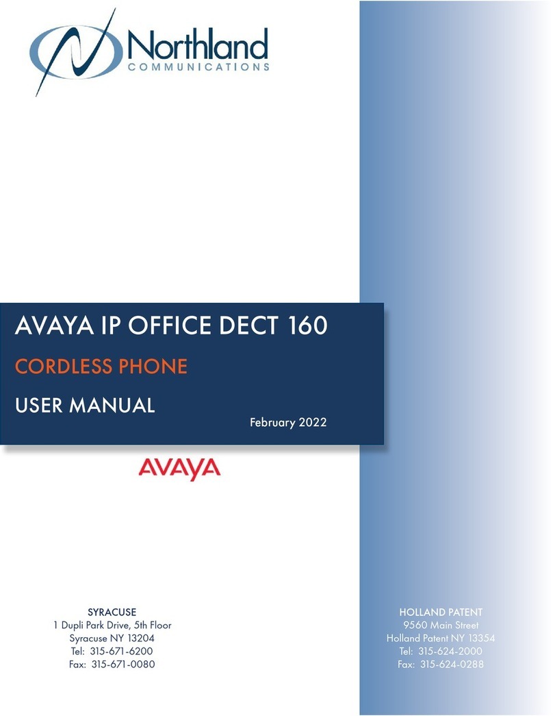 Avaya IP OFFICE DECT 160 User manual