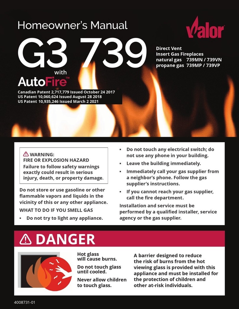 Valor G3 739 User manual
